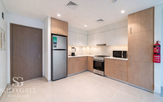 Brand New 1BR | Fully Furnished | Move In Ready