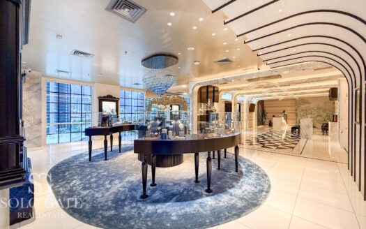 Premium Shop for Sale | Direct | Ready Transfer