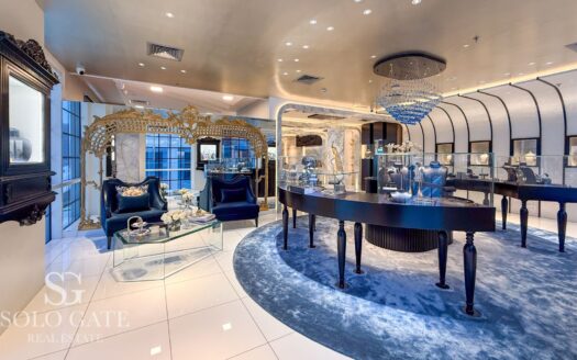 Premium Shop for Sale | Direct | Ready Transfer