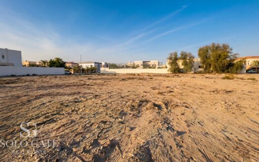 Large Plot | Corner plot | GCC Community