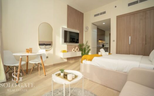 Large Studio | Fully Furnished | Azizi Riviera 4