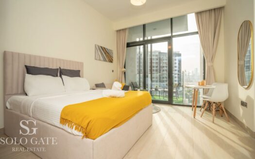 Large Studio | Fully Furnished | Azizi Riviera 4